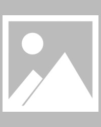 开云中国区-【早报】三狮小鬼当家，葡萄牙老树开花